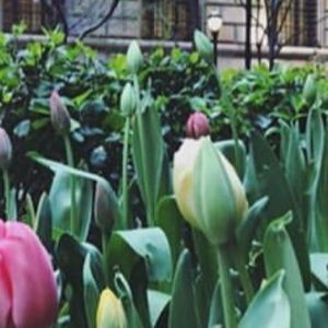 Meet your Posher, Destiny